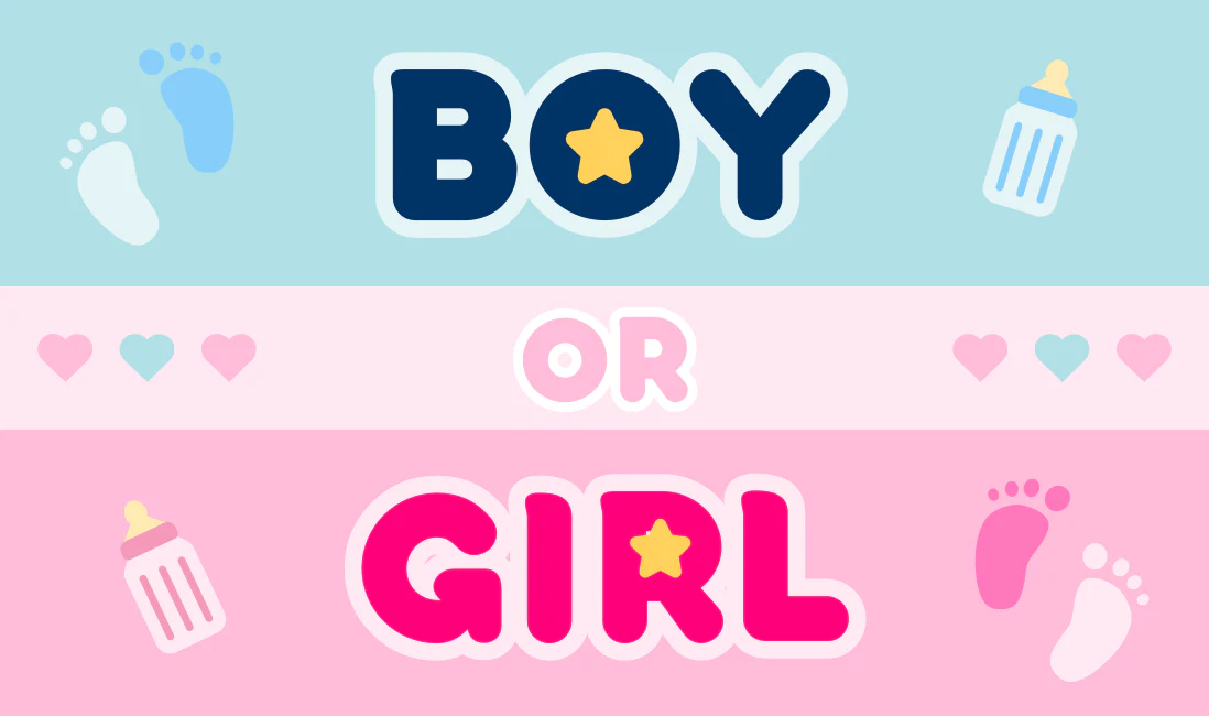 Build a Baby Shower Gift Box - Image 5