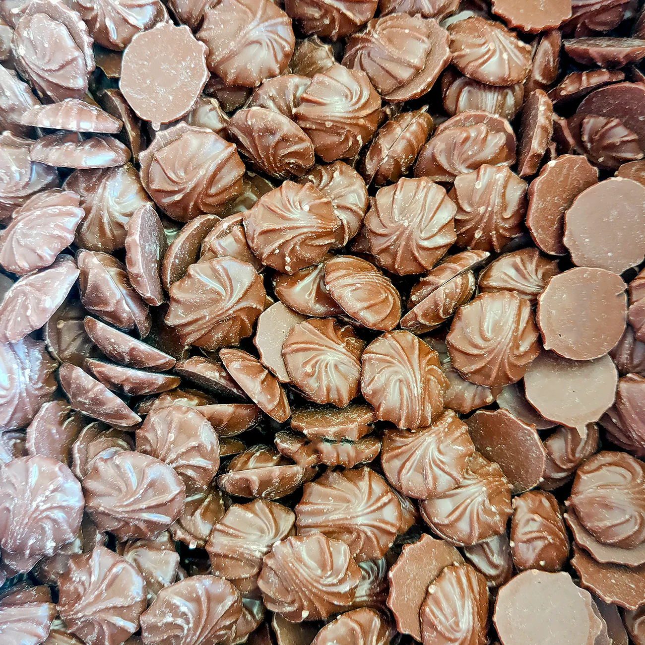 Choc Buds - Image 2