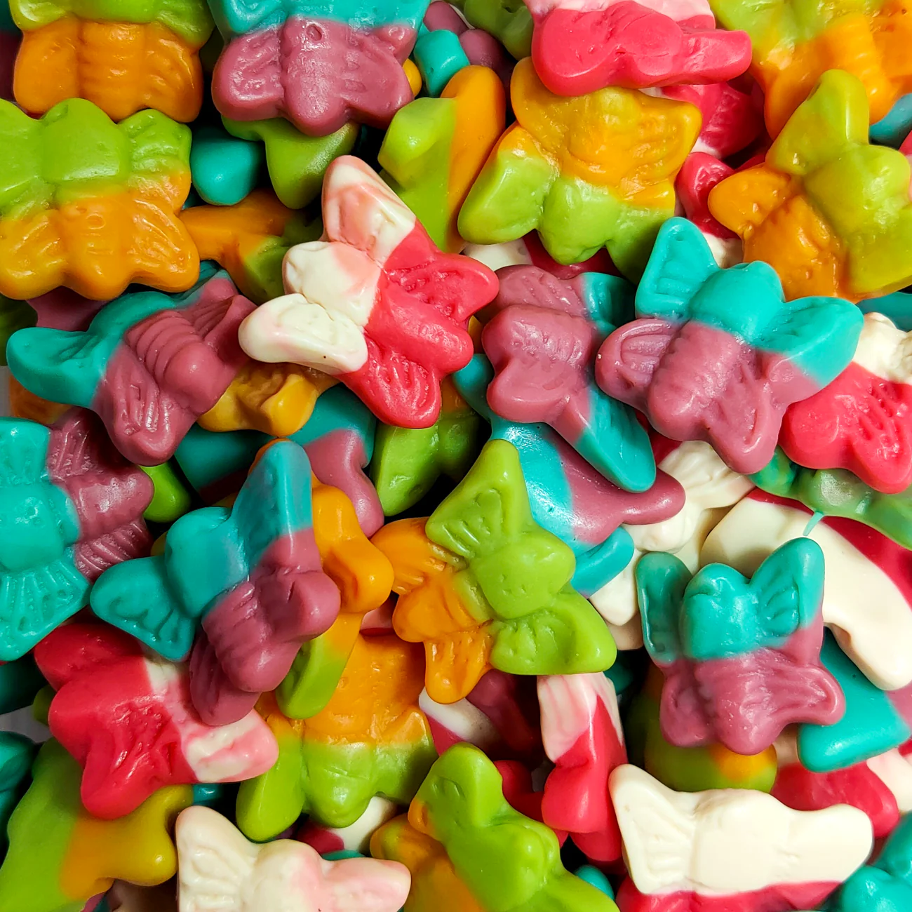 Colourful Butterflies