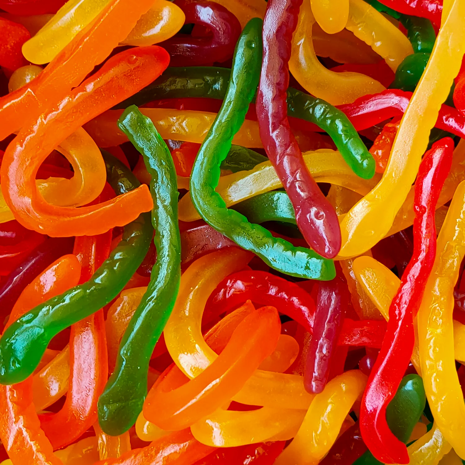 Rainbow Snakes